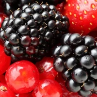 Ежевика