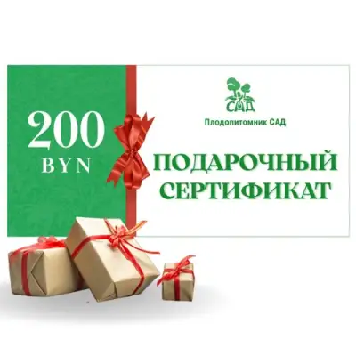 Подарочный сертификат на 200 BYN в Иркутске