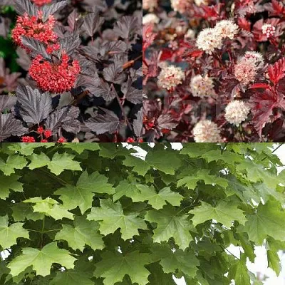 Комплект ОСЕННИЙ КОСТЕР в Иркутске