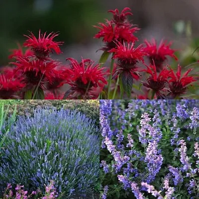 Комплект АРОМАТНЫЙ ЧАЙ в Иркутске