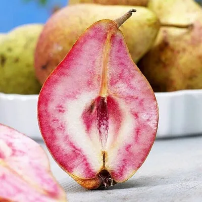 Груша БЛЮТБЕРН в Иркутске