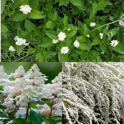 Комплект СКАНДИНАВСКИЙ СТИЛЬ в Иркутске