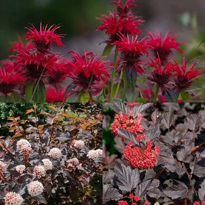 Комплект ОГНЕННЫЙ МИКС в Иркутске