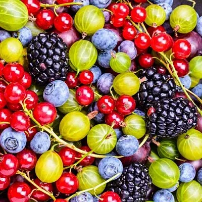 СУПЕР НОВИНКИ в Иркутске