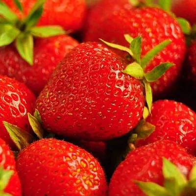 Клубника в Иркутске