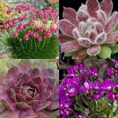 Комплект МИНИ САД в Иркутске