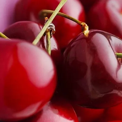 Вишня в Иркутске