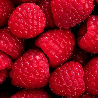 Малина в Иркутске