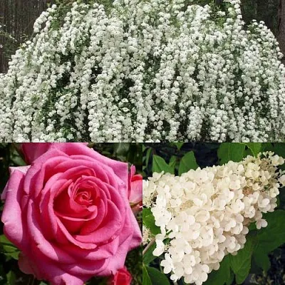 Комплект ВЕЧНАЯ КЛАССИКА в Иркутске