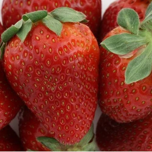 Клубника ФЛАМИНИЯ в Иркутске