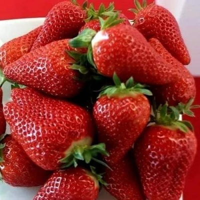 Клубника БРИЛЛА в Иркутске