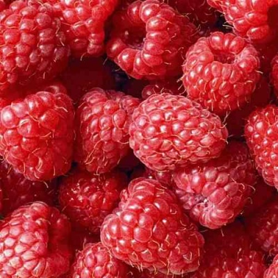 Малина РУДИ в Иркутске