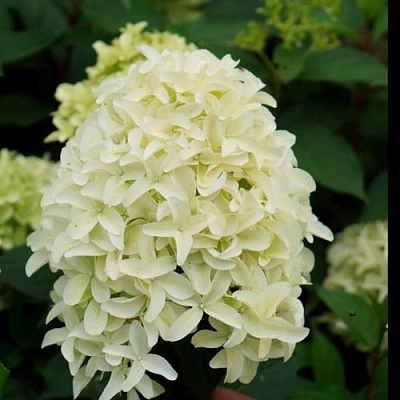 Средняя в Иркутске